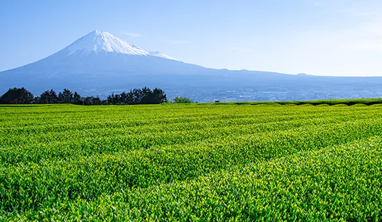 背景画像